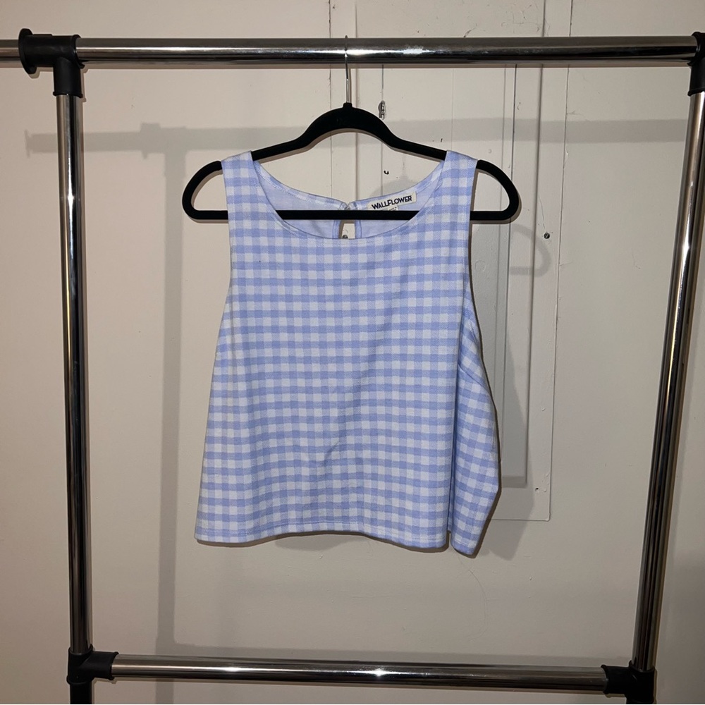 Wallflower Brand Size 2X Light Blue Gingham Crop Top